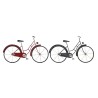 Figura Decorativa DKD Home Decor 79,5 x 4 x 47 cm Rojo Negro Bicicleta Vintage (2 Unidades)