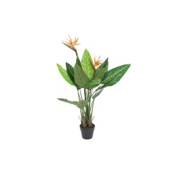 Planta Decorativa DKD Home Decor (80 x 80 x 120 cm)