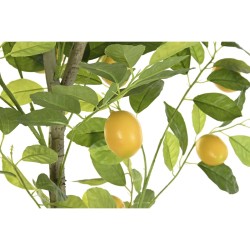 Árbol DKD Home Decor Limonero Poliéster Polipropileno (90 x 90 x 180 cm)