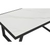 Mesa de Centro Home ESPRIT Metal 120 x 60 x 43 cm