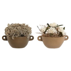 Planta Decorativa Home ESPRIT Flor 22 x 22 x 14 cm (2 Unidades)