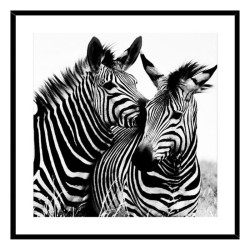 Cuadro Zebra Cristal (2 x...