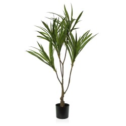 Planta Decorativa Versa 15...