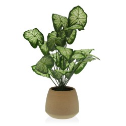 Planta Decorativa Versa 15...