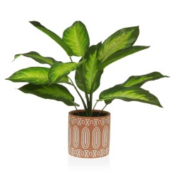 Planta Decorativa Versa 15...