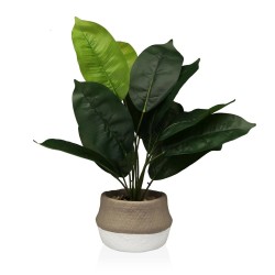 Planta Decorativa Versa 15...