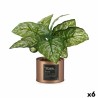 Planta Decorativa Home Cobre Lata (26 x 26 x 26 cm) (6 Unidades)