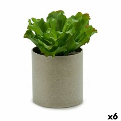 Planta Decorativa 20 x 25 x...