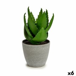 Planta Decorativa Aloe Vera...