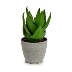 Planta Decorativa Aloe Vera 15 x 23,5 x 15 cm Gris Verde Plástico (6 Unidades)