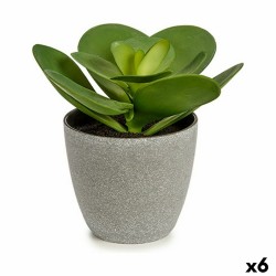 Planta Decorativa 18 x 18,5...