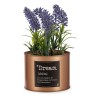 Planta Decorativa Lavanda Lata Morado Metal Cobre Verde Plástico 10 x 18 x 10 cm (6 Unidades)