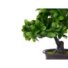 Planta Decorativa Bonsái Plástico 27 x 28 x 14 cm (8 Unidades)