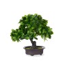 Planta Decorativa Bonsái Plástico 27 x 28 x 14 cm (8 Unidades)