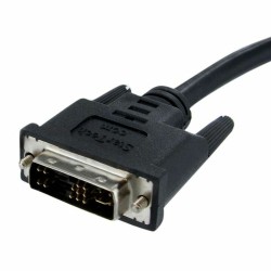 Adaptador VGA a DVI Startech DVIVGAMM2M      (2 m) Negro