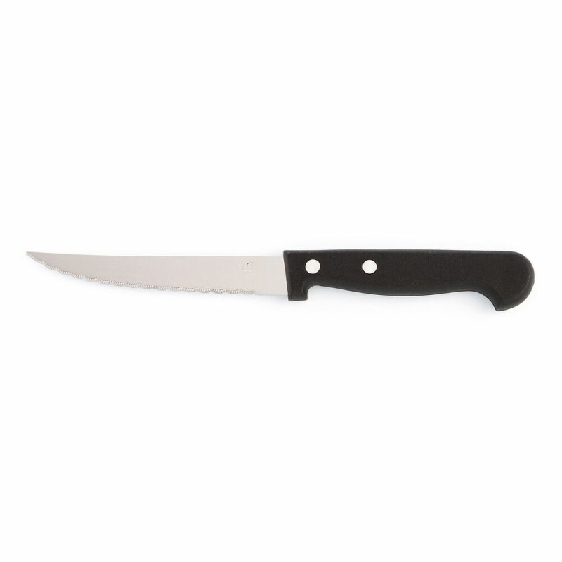 Cuchillo para Carne Amefa Metal Bicolor (21 cm) (Pack 12x)