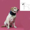 Collarín Cervical para Perros KVP Negro