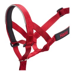 Collar de Adiestramiento para Perros Company of Animals Halti Bozal (31-40 cm)