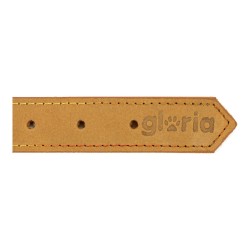 Collar para Perro Gloria Oasis Amarillo (1,5 x 40 cm)