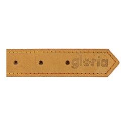 Collar para Perro Gloria Oasis Amarillo (45 x 1,8 cm)