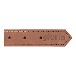 Collar para Perro Gloria Oasis Marrón (55 x 2,5 cm)