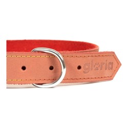 Collar para Perro Gloria Oasis Rojo (60 x 3 cm)