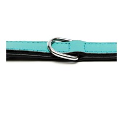 Collar para Perro Gloria Acolchado Turquoise 45 cm (45 x 2 cm)