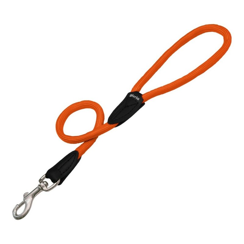 Correa para Perro Gloria 1 x 120 cm Naranja