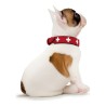 Collar para Perro Hunter Swiss Rojo/Negro (35-39.5 cm)