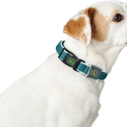 Collar para Perro Hunter Basic Hilo Talla M Antracita (33-50 cm)