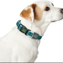 Collar para Perro Hunter Basic Hilo Azul 20