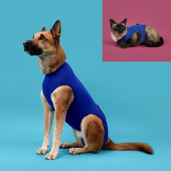 Camiseta de Recuperación para Mascotas KVP Azul 45-53 cm