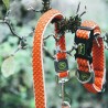 Collar para Perro Hunter Basic Hilo Naranja Talla S Orange (30-43 cm)