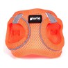 Arnés para Perro Gloria Air Mesh Trek Star Ajustable Naranja L (33,4-35 cm)