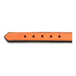 Collar para Perro Gloria Acolchado Naranja (35 x 1,5 cm)