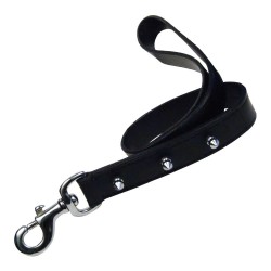 Correa para Perro Gloria Negro 60 cm