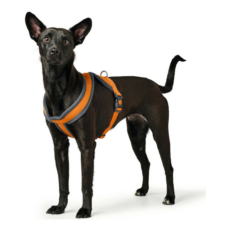 Arnés para Perro Hunter London Comfort 39-47 cm Naranja XS/S