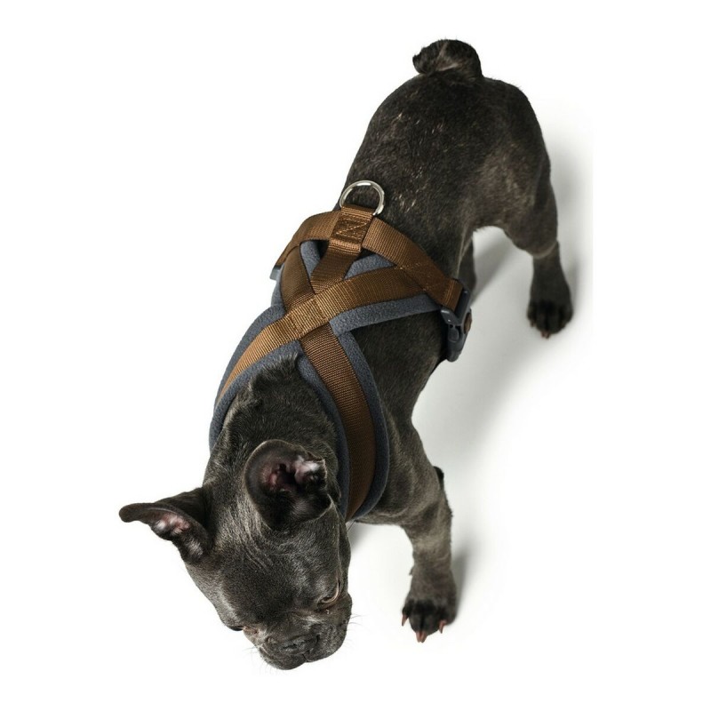 Arnés para Perro Hunter London Comfort 48-56 cm Marrón Talla S/M