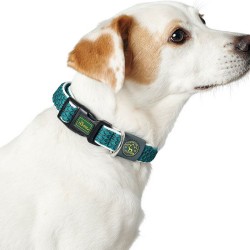 Collar para Perro Hunter...