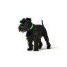 Collar para Perro Hunter Convenience 23-31 cm Verde XS/S