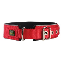 Collar para Perro Hunter...