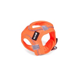 Arnés para Perro Gloria Trek Star 27-28 cm 31-34,6 cm Naranja XS