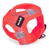 Arnés para Perro Gloria Air Mesh Trek Star Ajustable Rosa L (33,4-35 cm)