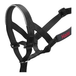 Collar de Adiestramiento para Perros Company of Animals Halti Negro Bozal (29-36 cm)