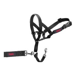 Collar de Adiestramiento para Perros Company of Animals Halti Negro Bozal (35-48 cm)