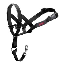 Collar de Adiestramiento para Perros Company of Animals Halti Negro Bozal (40-54 cm)