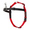 Arnés para Perro Company of Animals Halti Negro/Rojo Talla M (58-86 cm)