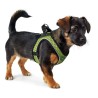 Arnés para Perro Hunter Hilo-Comfort Lima Talla XXS (26-30 cm)