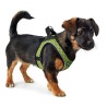 Arnés para Perro Hunter Hilo-Comfort Lima Talla XS (35-37 cm)