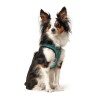 Arnés para Perro Hunter Hilo Comfort 55-60 cm Talla M Turquesa